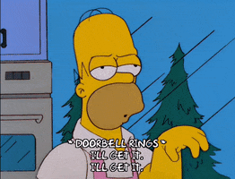 homer simpson GIF