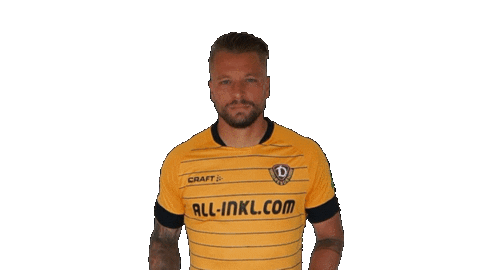 Finger Celebrate Sticker by SG Dynamo Dresden