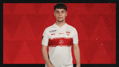 Vfb Stuttgart Football GIF by Bundesliga