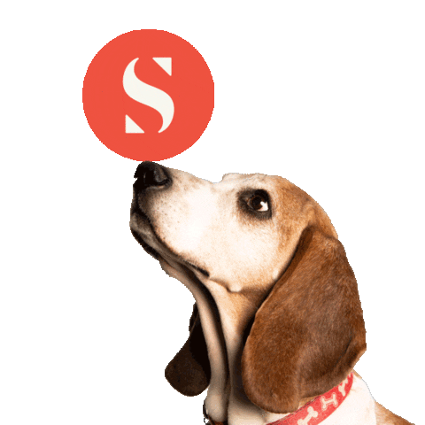 SignalTheory giphyupload dog marketing puppy Sticker