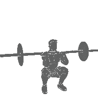 Box Squat Sticker by gainzbox