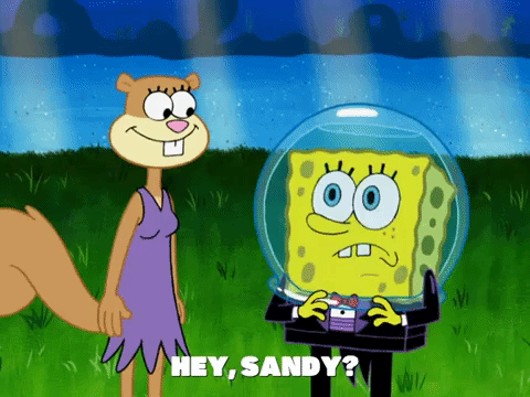 season 6 gullible pants GIF by SpongeBob SquarePants