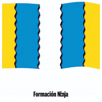 La Coruna Flag GIF by Formación Ninja