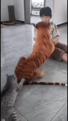 cuteanimalland giphyupload GIF