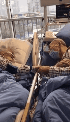 patraschew giphyupload GIF