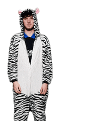 Esports Zebra Sticker by BS+COMPETITION