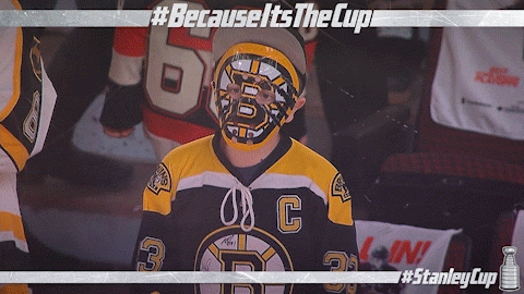 ice hockey GIF by NHL