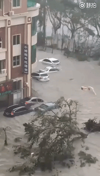 Cars Float in Floodwater as Typhoon Hits Guangdong