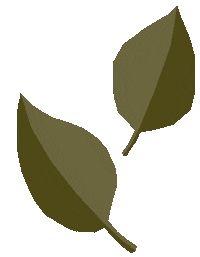 Leaves Leaf Sticker by Louisa Taylor Studio