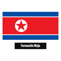 North Korea Flag Sticker by Formación Ninja
