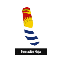 Flag Bandera Sticker by Formación Ninja
