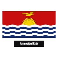 Flag Bandera Sticker by Formación Ninja