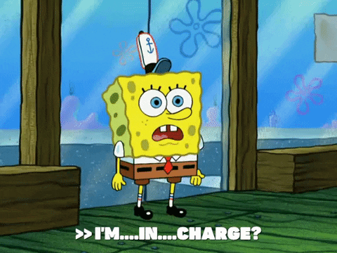 season 6 gullible pants GIF by SpongeBob SquarePants