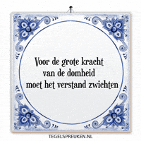 Nl Wijsheid GIF by Tegelspreuken.nl