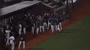 East Carolina Pirate GIF by ECU Athletics