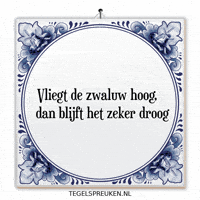 Humor Nl GIF by Tegelspreuken.nl