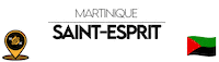 Martinique Sticker by NoirNomads