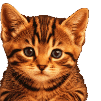 Baby Animals Hello Sticker