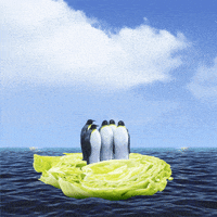 Water Bird GIF by Welcome! At America’s Diner we pronounce it GIF.