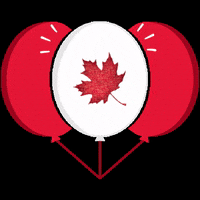 SuttonGroupRealty canada balloon sutton canadaday GIF
