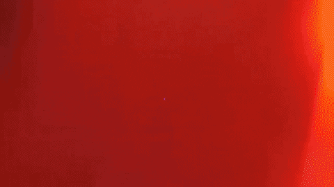 Dance Love GIF by Stoned Hare