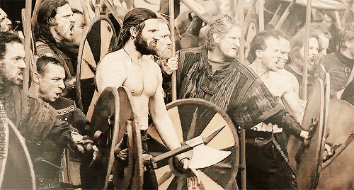 vikings GIF