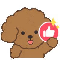 Poodle Sticker