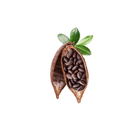 decacaustore bunny chocolate cocoa pascoa Sticker