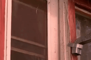 season 1 leo johnson GIF by Twin Peaks on Showtime