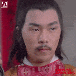 Martial Arts Yes GIF by Arrow Video