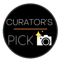 Curator Sticker