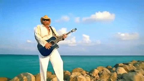country music GIF by Toby Keith