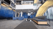 Bears Vandy GIF by St. Joseph's University New York