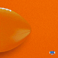 Animal Planet Football GIF by Puppy Bowl