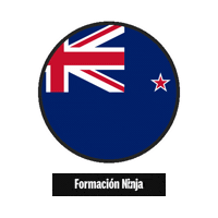 New Zealand Flag Sticker by Formación Ninja