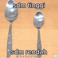Sdm GIF