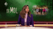 Wie Is De Mol What GIF by Shownieuws