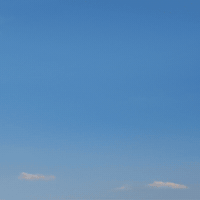 Lama GIF by Fio banka