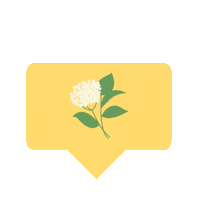 Summer Love Sticker by MONIN