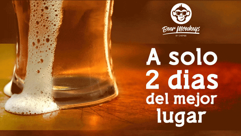 brainfood giphyupload GIF