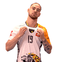 Team Volleyball Sticker by trefl_gdansk