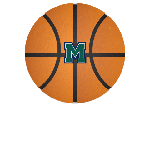 Hurstathletics Sticker by MercyhurstU