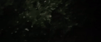 sony GIF by Slender Man Movie