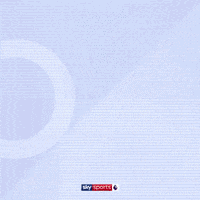 Goal Epl GIF by skysports