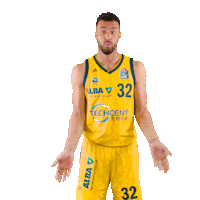 swipe up game on Sticker by easyCredit Basketball Bundesliga