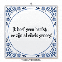Humor Nl GIF by Tegelspreuken.nl
