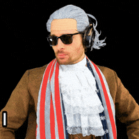 Stand Down Carry On GIF