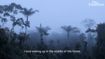 I Love Waking Up In the Forest