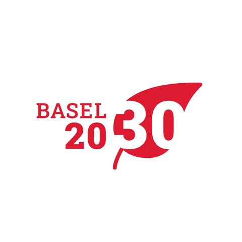 basel2030 giphygifmaker basel2030 GIF