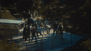 Music Video Laughing GIF by Militarie Gun